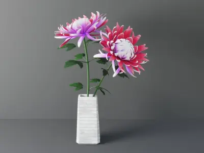 Chrysanthemum Flower 3D model