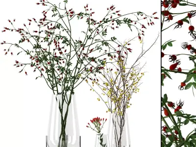 Twigs in Echasse Vases 3D model