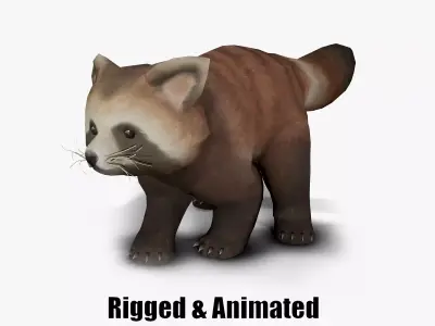 red panda Low-poly 3D model