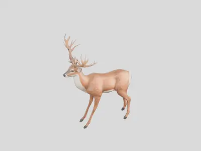 Stylized Whitetail Deer 3D Model Low-poly 3D model