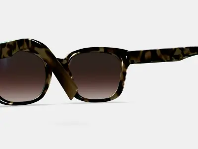 Aubrey Sunglasses in Marzipan Tortoise 3D model