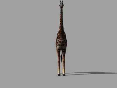 Low poly Savannah pack - 3d model Low-poly 3D model