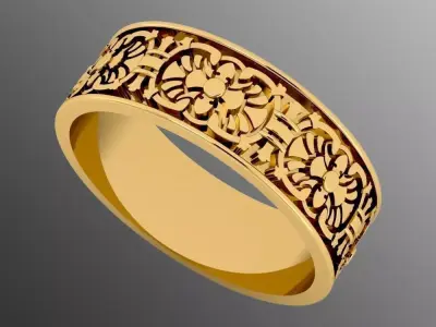 Ring dp 3 3D print model