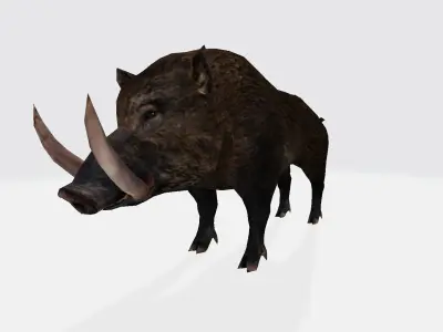 Boar 3d warthog 3D model
