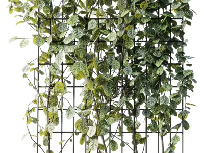Plants set partition in metal frame 103 - Vertical graden ivy 3D model