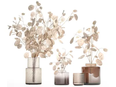 Set of bouquets of dried flowers with Lunaria branches 409 3D model