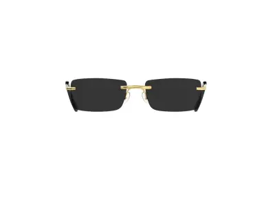 Luxury Sunglasses 3D Model 4 3D model