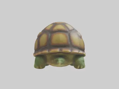 Cartoon Turtle model 3D model