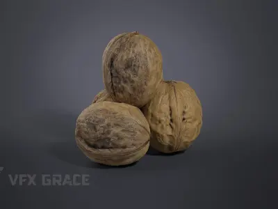 Walnut 002 3D model