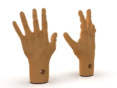 Tortured Man Hands 3D print model