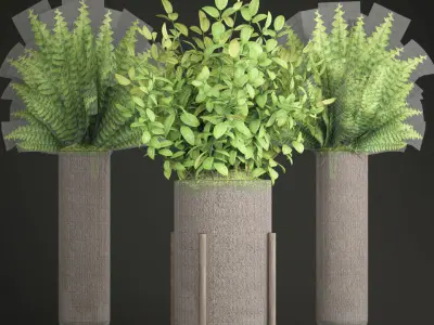 Potted plants fern  3D model