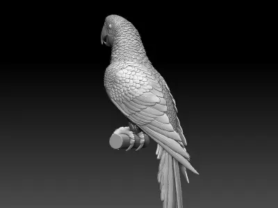 parrot perched on branch 3D print model