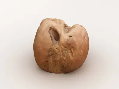 Driftwood walnut 3D model