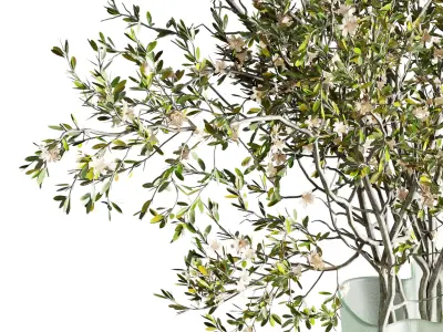 Flowering branches in a Frosted glass vase - Bouquet 82  Low-poly 3D model