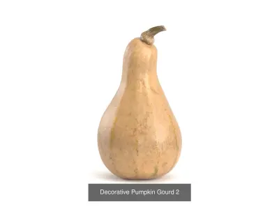 3D Pumpkin models  3D Model Collection