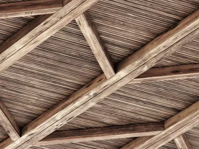 Ceiling diagonal branch straight n1 3D model