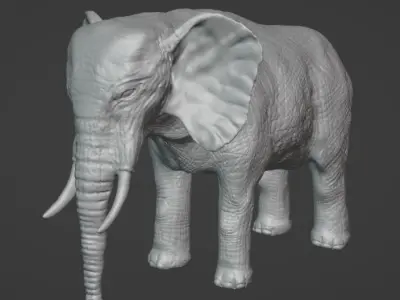 Elephant Model with Blender 3D model