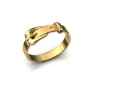 Belt Ring 3D  3D print model