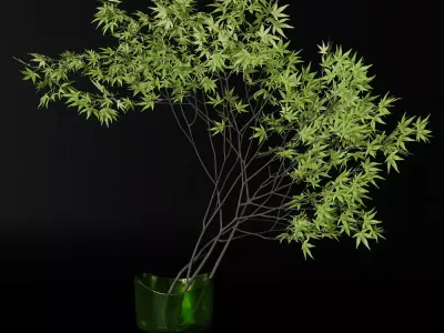 Decorative branch japanese maple 3D model