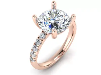 Solitaire Rig 3D print model