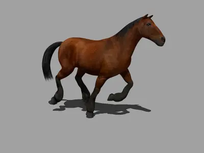 Horse Rigged Animated Low-poly 3D model