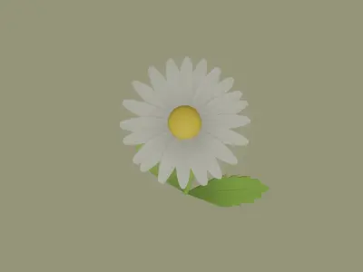 Daisy Flower 3D model