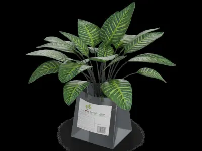 Home decorations Artificial Plant Low-poly 3D model purchase