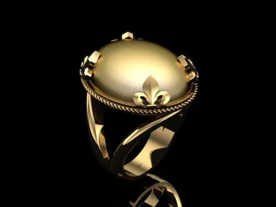 Women Ring 3D print model 38