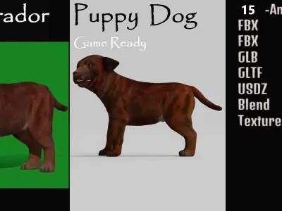 Labrador Retriever Puppy Dog Low-poly 3D model