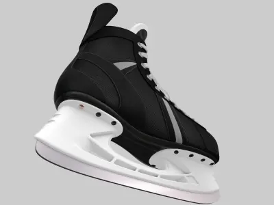 Ice Skate 3D model