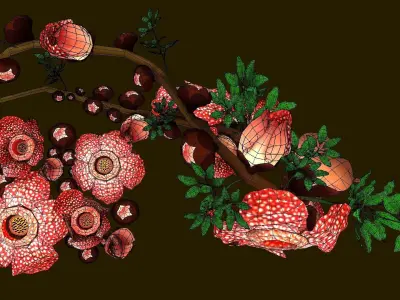 Flower Rafflesia arnoldii  Low-poly 3D model