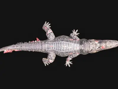 Low Poly Alligator 3D Animal - Ready for Games -22 Animations Low-poly 3D model