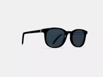 Durand Sunglasses in Whiskey Tortoise 3D model