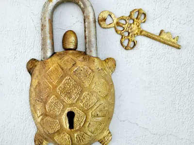 Vintage Brass India Turtle Lock 3D model