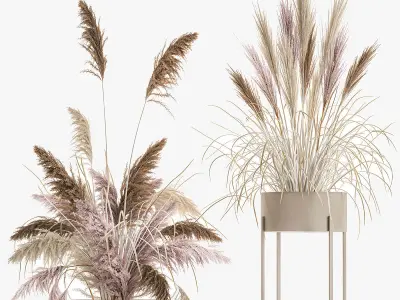 Decorative Bouquet of dried pampas grass 196 3D model