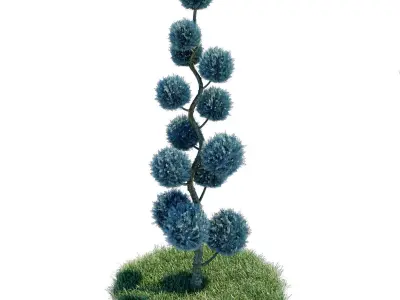 Cypress - Cupressus Arizonica Spiral Pom Pom 3D model