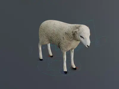 Sheep Rigged 3D model Low-poly 3D model