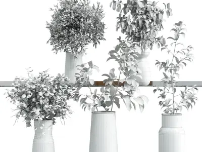 Collection Green Plants Bouquet Indoor 11 Low-poly 3D model