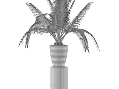 House Plant 29 3D model