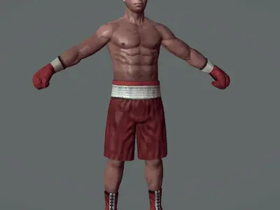 Boxer v1 Low-poly 3D model