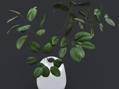 Tree Branch In Vase II 3D model