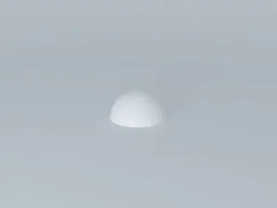 Igloo turtle 3D model