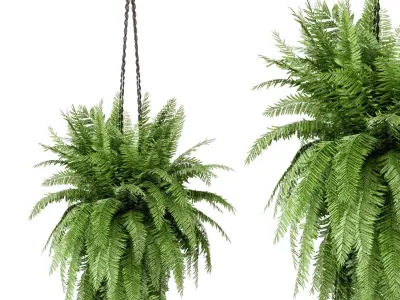 Indoor Plants in rusty Concrete Pot with Macrame - Set 29  3D model