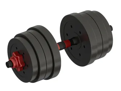 DUMBBELLS 3D model