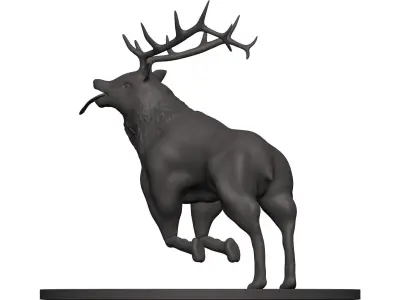 Elk-Elk deer with antlers 3D model
