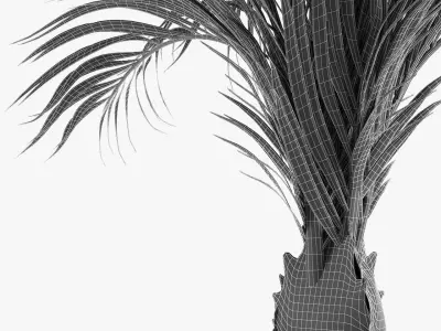 Realistic Palm Garden 3D model purchase