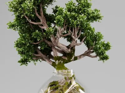 Bonsai Tree Indoor Plant 02 3D model