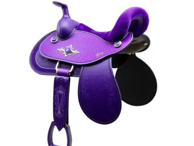 Purple Elegance Saddle model pack Low-poly 3D model
