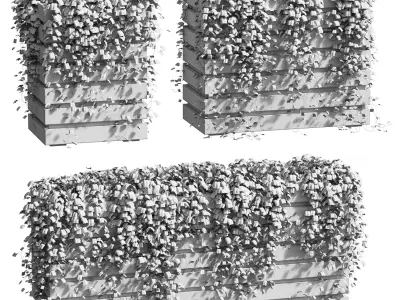 Ivy in tubs - 3 models 3D model