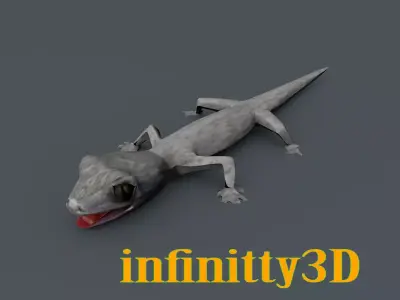 Gecko  Low-poly 3D model